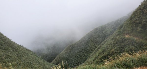 2021-09/19-宜蘭礁溪- 抹茶山三角崙山1466437