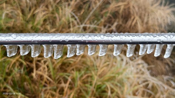 #霧淞 #雲海 #雲瀑 #霧虹 #太平山 #望洋山 #觀雲步道 #翠峰道路  2/82995324