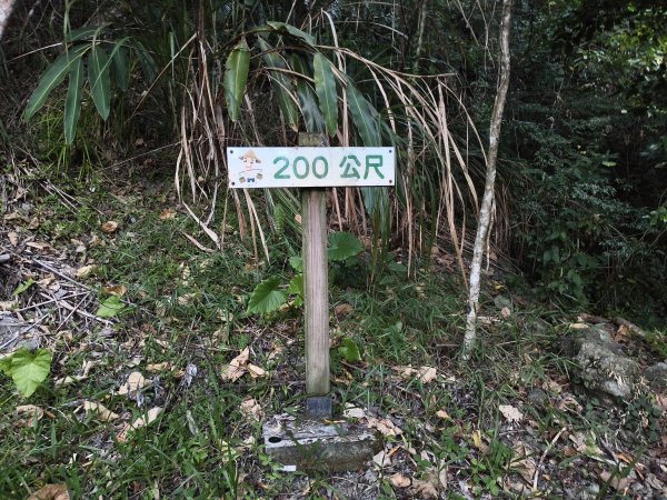 [漫遊縱谷 愛在花東-09/10] 2025_1012 米棧古道2913550