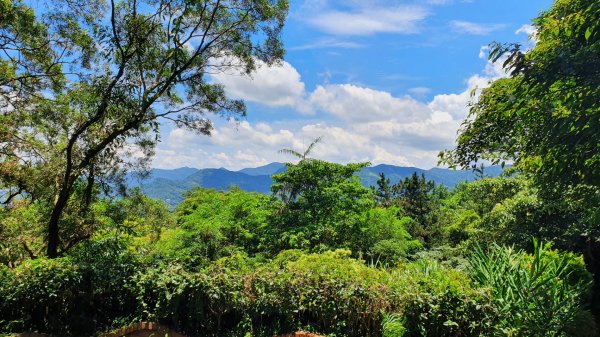 三峽紫微山，紫微聖母環山步道，土城桐花公園，五尖山，原住民族生態公園，龍潭大平紅橋，三坑自然生態公園1746467