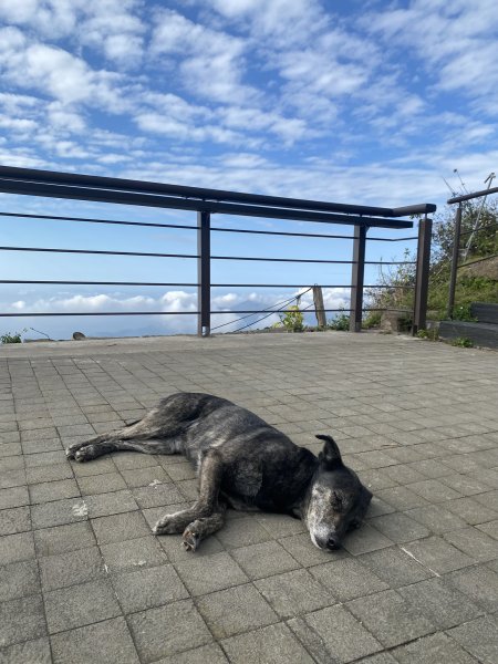 20250119二延平步道2716342