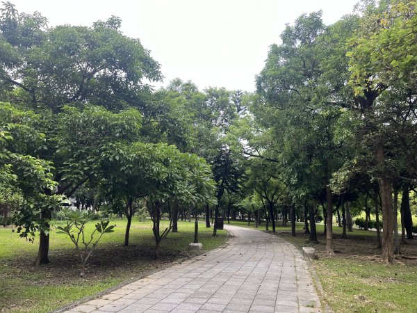 [全臺走路趣尋寶-39/100] 2024_0818_台南市巴克禮公園2577353