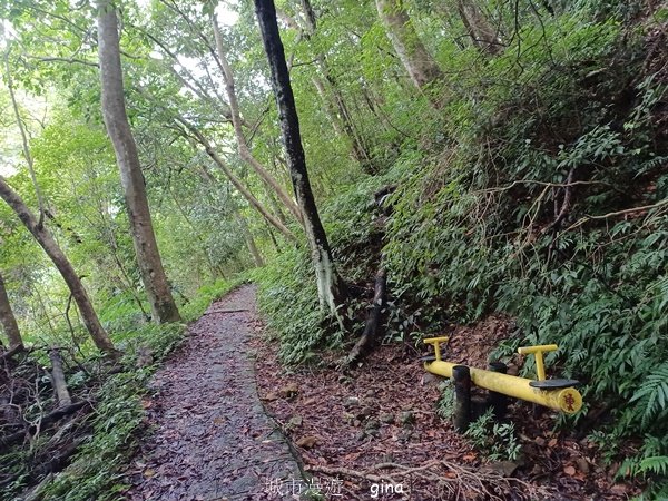 【新竹橫山】廢棄小學變身山城驛站。 逃學古道x大山北月2623212