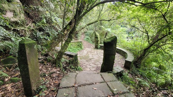 擎天崗系步道巡禮2104334