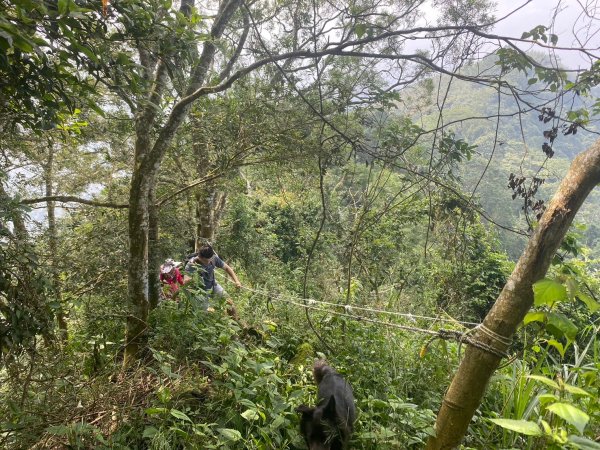 三寶山(烏心石山.鳩州嶺.尖凍山)步道【變成夢魘的大秘寶】2639866