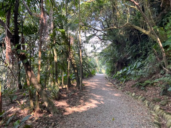 北車-桃園-齋明寺-自行車道-中庄調整池-七張-月眉2684826