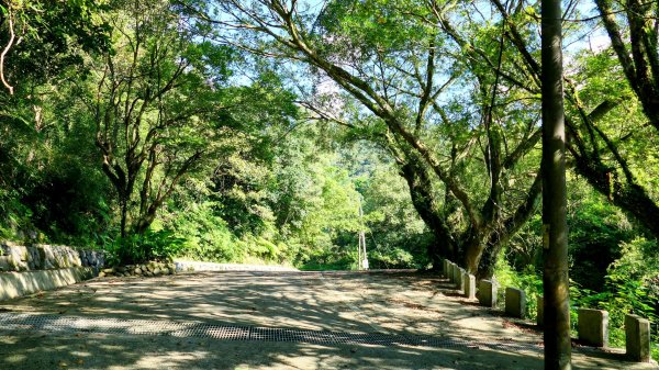 柯子林保甲路,如意湖,五指山古道2848883