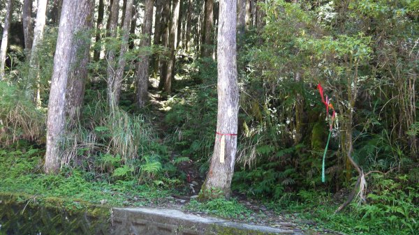 三星山登山健行趣(小百岳85號)1800690