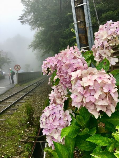 1070815大塔山390206