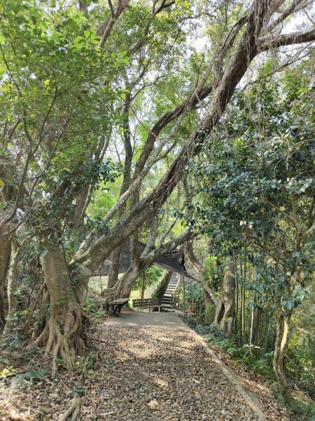 2024.03.17 竹東三山連走2900077