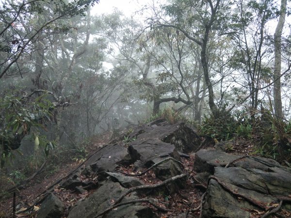 谷關八雄:阿白縱走-阿冷山+四壯士步道1513926