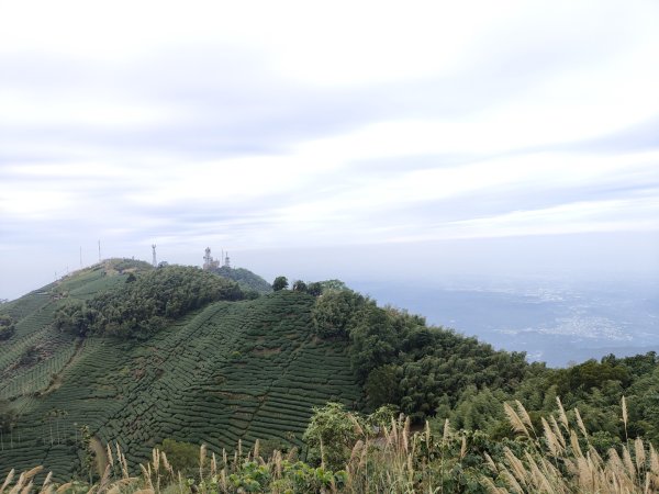 2023.12.23 梨子腳山2833264