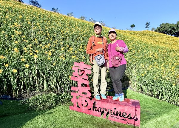 虎山巖賞金針花順撿基石    2025.5.142789447