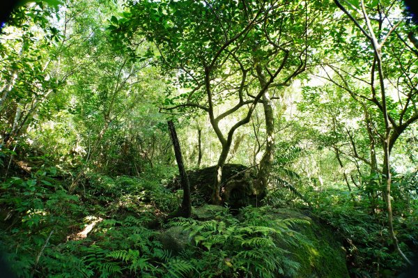 宜蘭 南澳 御恩山2892665