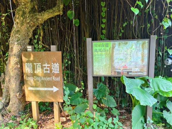 【員林】隴頂古道連走萬里長城及藤山步道O繞2871781