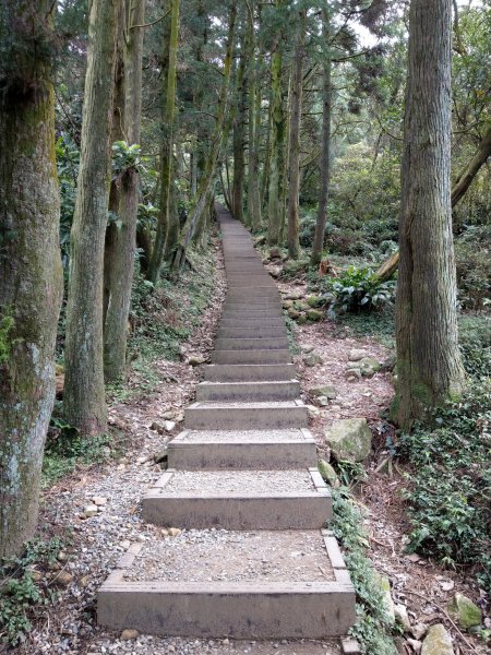 冷水坑-擎天崗環狀步道(竹嵩山)-風櫃嘴821033