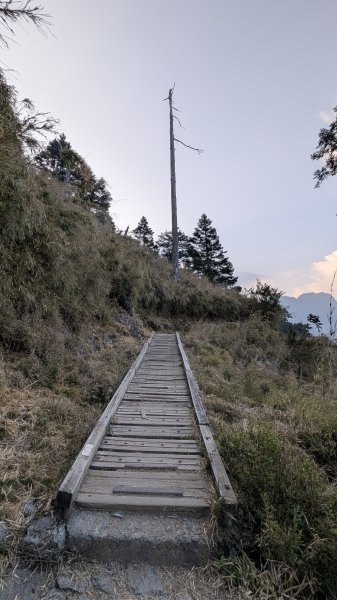 玉山主峰單人單攻3039783