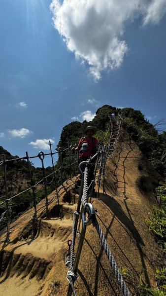 孝子山、普陀山、慈母峰賞鹿子野百合O走2592941