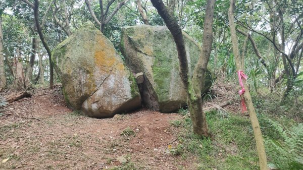 台北大縱走第一段2503716