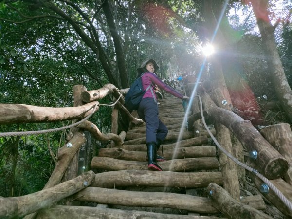 1110116 大坑四，五，三之一號步道O型一圈1584045