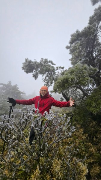 20250319～20嘉明湖國家步道🥶🥶🥶殘念😭2739746