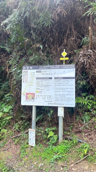 20240419-20松羅湖二天一夜2767366