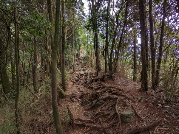 鳶嘴山稍來山1885858