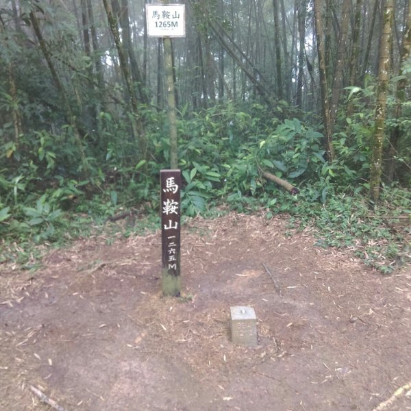 雲嘉五連峰O型環狀684855