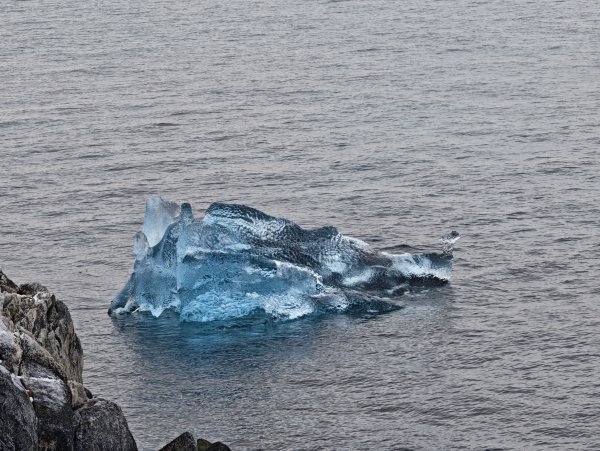 [紐約馬之行-27] 2025_1105 努克濱海木棧道(Nuuk Boardwalk)-下2947624