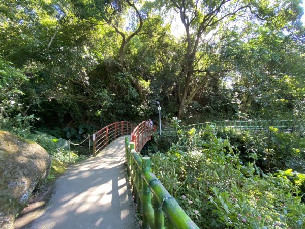 2025微笑山線大縱走尋寶集章任務-Ep.02【大棟山系】百年大榕樹2882265