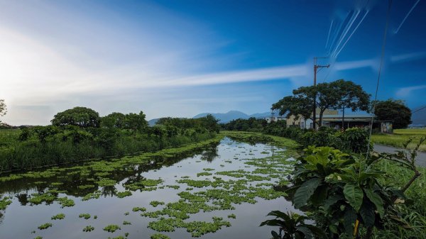 三奇美徑,52甲濕地,傳藝中心2518190
