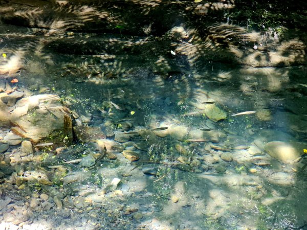 淡蘭南路第四段：𩻸魚堀溪自行車道至縣界公園2873632