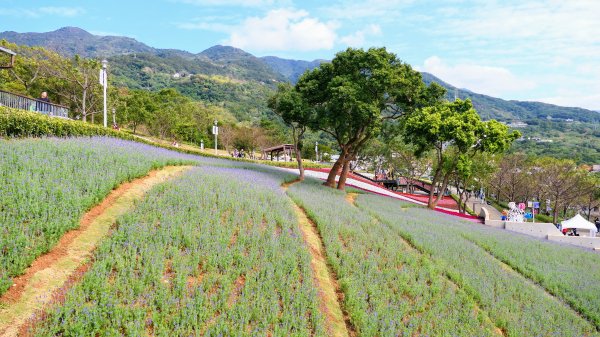 三層崎的呢喃2692134