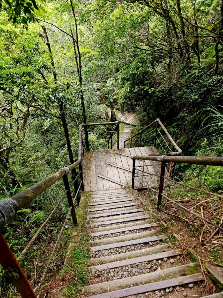 翠峰湖環山步道-(宜蘭)臺灣百大必訪步道2827566