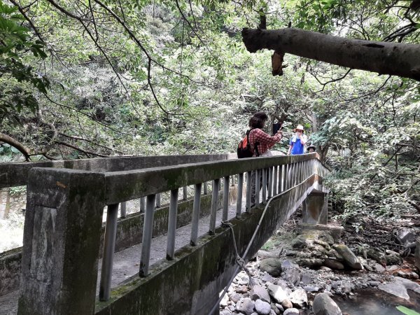 《龍飛鳳舞的龍鳳谷步道》1447270