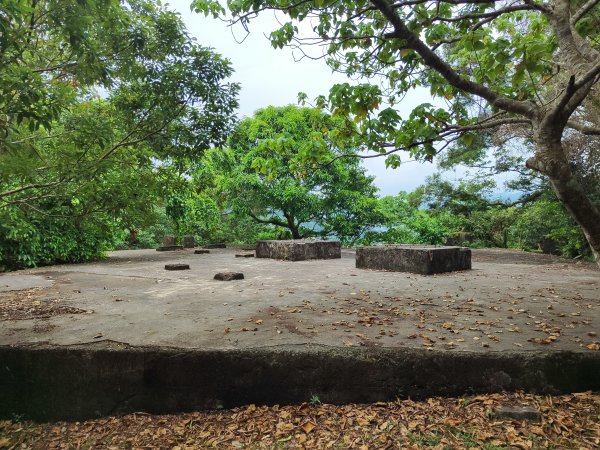 微笑山線：【二格山系】和美山螢火蟲段2834853