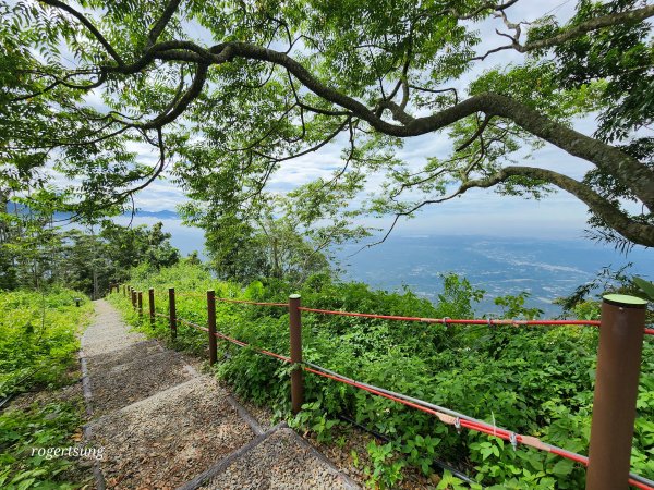 低海拔雲海美景(阿拔泉山稜線步道、樟腦寮車站、竹崎車站)2637071