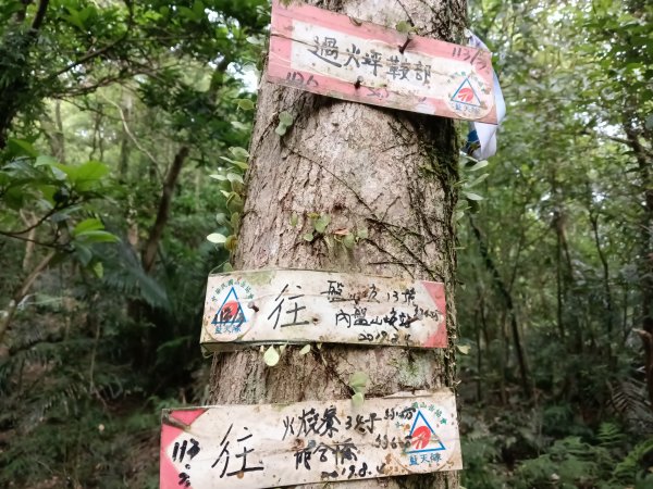 平溪區過火坪古道+枋山坑山+中坑頭鞍部+枋山坑古道+火燒寮古道O型2878607