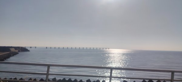 九州小京都（大分杵築城）2999721