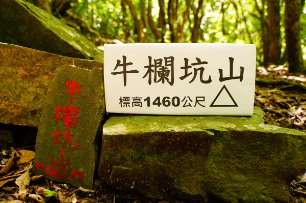 新竹 尖石 道下山、牛欄坑山、大混山3064757