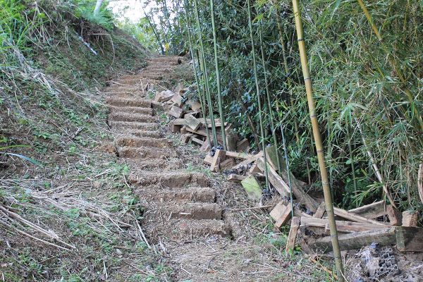 復興枕頭山古砲台步道O型279151