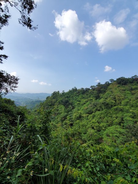 台中大坑頭嵙山697991