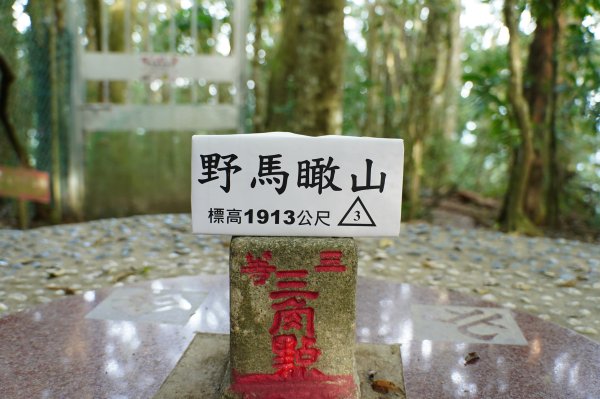 新竹 五峰 野馬瞰山