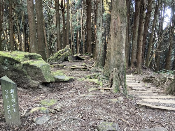 漫步特富野古道1604542