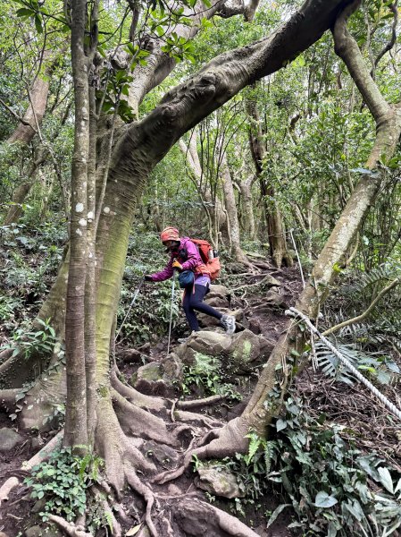 淡水搭渡輪上觀音山+占山O繞 搭公車接渡輪回淡水-202503182770645