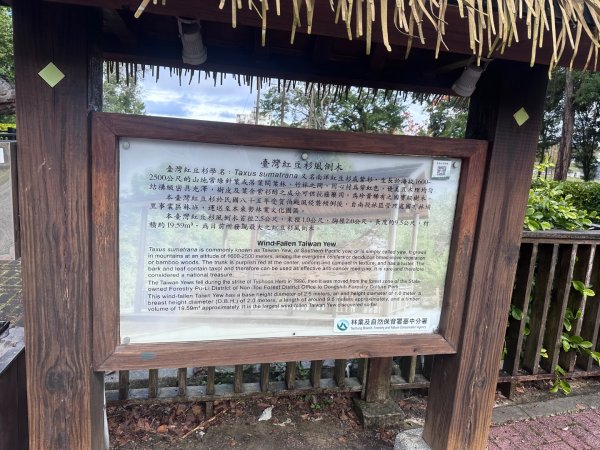 東勢林業文化園區2703615