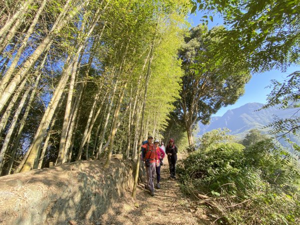 鹿谷小半天七連峰O形走1567347