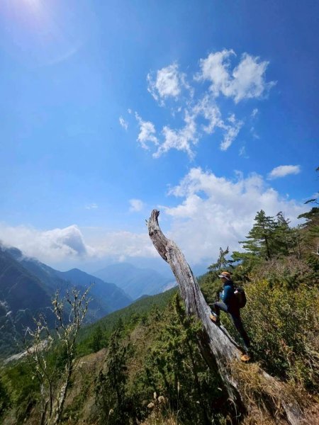 20260320四個毆鷄桑🦸‍♀️南橫溪頭山O繞關山嶺山3022694