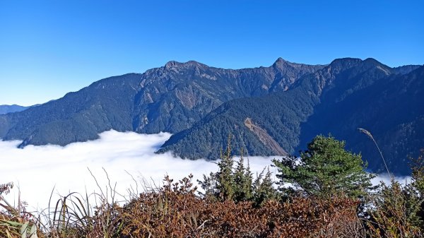 元旦登高望玉山、看雲海1227461