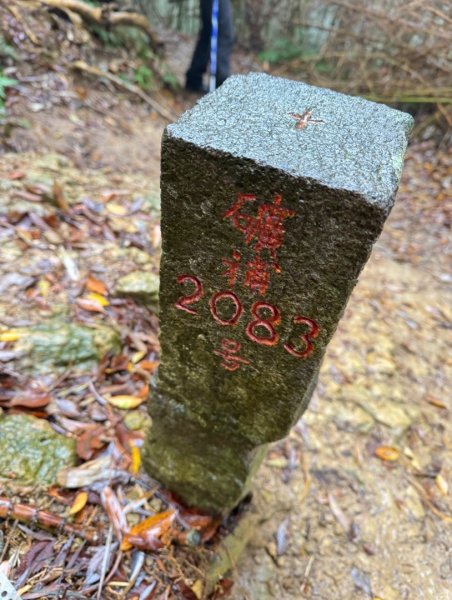 獅山 六寮古道 獅頭獅尾走一圈2992734